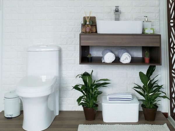 Entenda as diferenças e novidades dos vasos sanitários