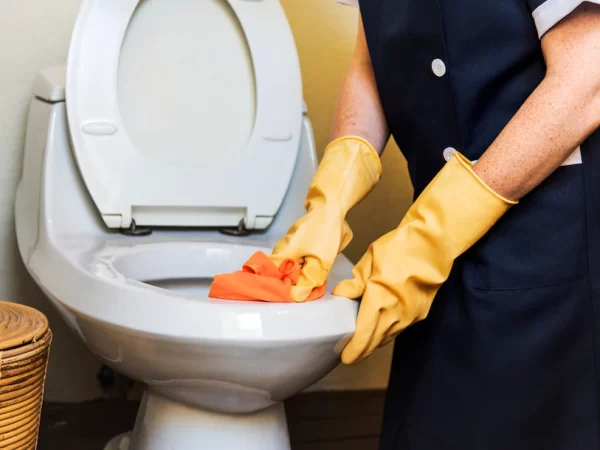 5 dicas para limpar um vaso sanitário