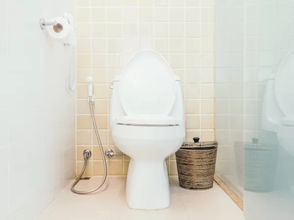 Banho & Casa: 5 itens essenciais para instalar um vaso sanitário